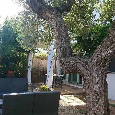 Villa Familiar En La Montana, Con Acceso A Piscina Dénia Exterior photo