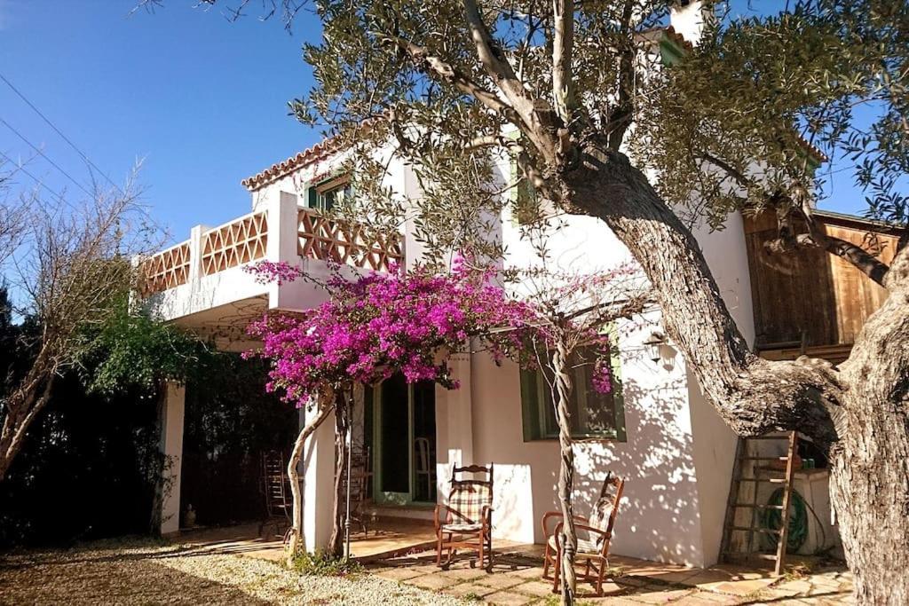 Familiar En La Montana, Con Acceso A Piscina Casa de vacances Dénia